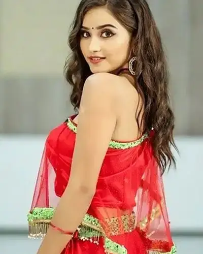 Call Girls Service Ater